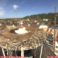 12_00-nest.jpg
