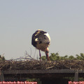 12_05-mast.jpg