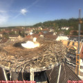 12_05-nest.jpg