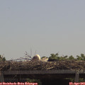 12_15-mast.jpg