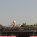 12_25-mast.jpg