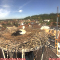 12_25-nest.jpg