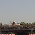 12_30-mast.jpg