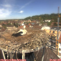 12_30-nest.jpg