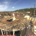 12_40-nest.jpg