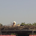 12_45-mast.jpg
