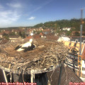 12_45-nest.jpg