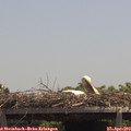 13_05-mast.jpg