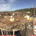 13_05-nest.jpg