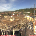 13_10-nest.jpg