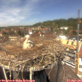 13_20-nest.jpg