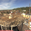 13_25-nest.jpg