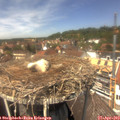 13_30-nest.jpg