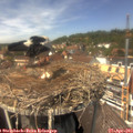 13_45-nest.jpg