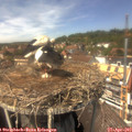 13_55-nest.jpg