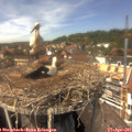 14_05-nest.jpg