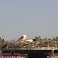 14_40-mast.jpg