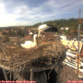 15_55-nest.jpg