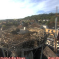 18_10-nest.jpg