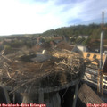 18_15-nest.jpg