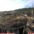 18_35-nest.jpg