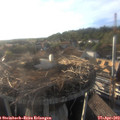 18_45-nest.jpg