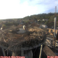 18_55-nest.jpg