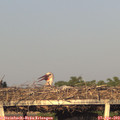 19_30-mast.jpg