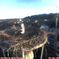 06_35-nest.jpg