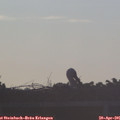 06_45-mast.jpg