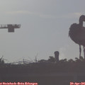 07_30-mast.jpg