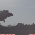 07_35-mast.jpg