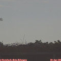 08_10-mast.jpg