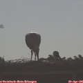 08_20-mast.jpg