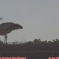 08_25-mast.jpg
