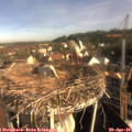 08_25-nest.jpg