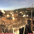 08_35-nest.jpg