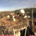 08_40-nest.jpg