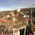 08_55-nest.jpg