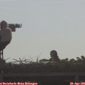 09_00-mast.jpg
