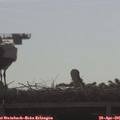 09_05-mast.jpg