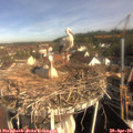 09_05-nest.jpg