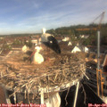 09_20-nest.jpg