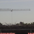 09_40-mast.jpg