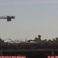 09_55-mast.jpg