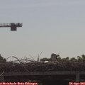 10_05-mast.jpg