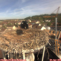 10_10-nest.jpg