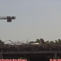 10_30-mast.jpg