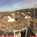 10_30-nest.jpg