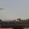 10_35-mast.jpg